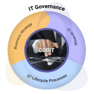 COBIT-Based IT Strategy and Governance