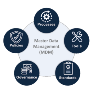 Master Data Management